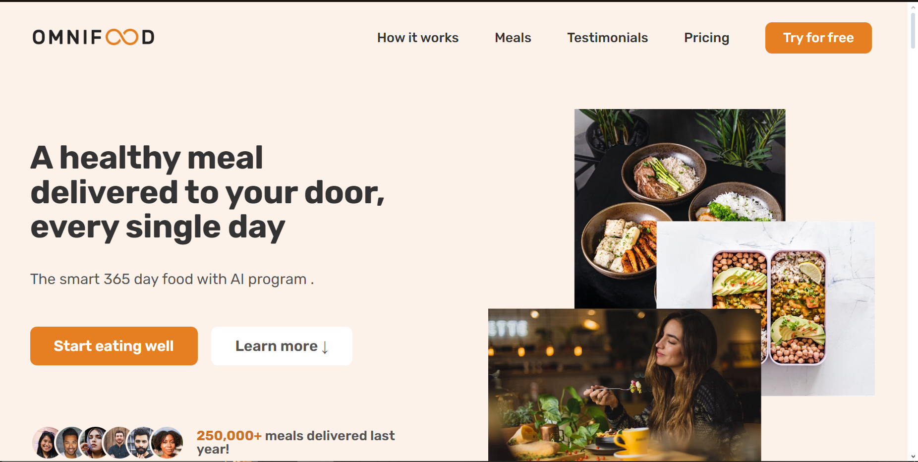 Omnifood meal subscription preview